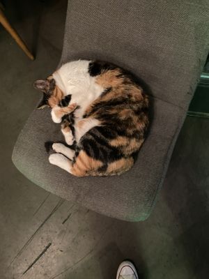   at The Vegan Regime in Istanbul