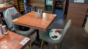  at The Vegan Regime in Istanbul