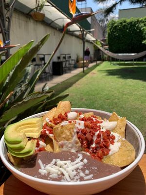 Chilaquiles at Puerto Pulsus in Mexico City