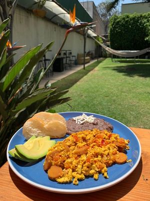 Tofu revuelto at Puerto Pulsus in Mexico City