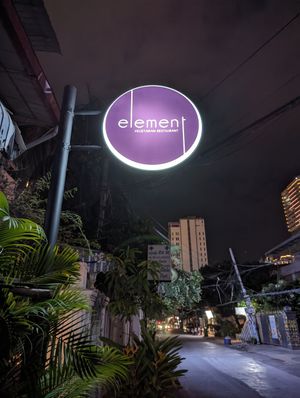  at Element Vegetarian in Phnom Penh