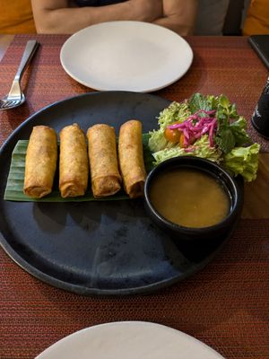 Crispy Spring Rolls at Element Vegetarian in Phnom Penh