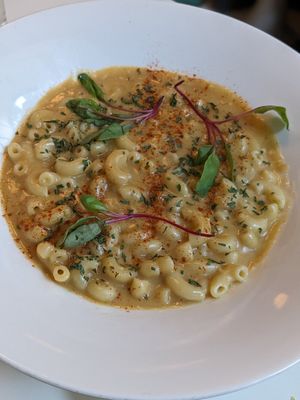 Mac at Cadence in New York City