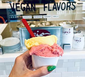 Vegan Gelato - so creamy and delicious!   at GIO Gelati in San Francisco