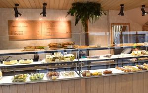 
Recipes for breads made from organic flours, artisanal pastries, pastries, sandwiches and seasonal salads... of course always in 100% vegetable and 100% gourmet versions!
 at Land & Monkeys - Pernety in Paris