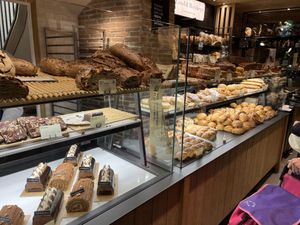 Display case  at Land & Monkeys - Pernety in Paris