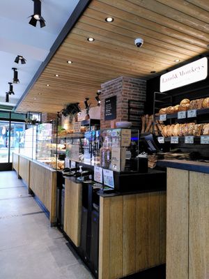 Counter at Land & Monkeys - Pernety in Paris