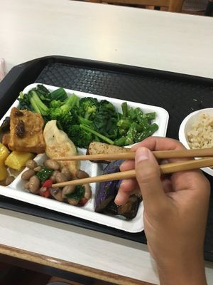 Buffet and brown rice at Shou-Yu Vegetarian Buffet in Kaohsiung
