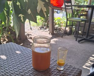  at Juice For Life in Puerto Viejo De Talamanca