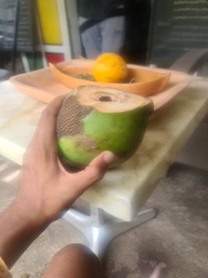 Complimentary coconut water 😏 at Juice For Life in Puerto Viejo De Talamanca