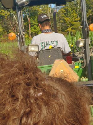 The Tractor driver was texting and driving and he was drinking driving my children around.  at Szalay's Sweet Corn Farm in Peninsula