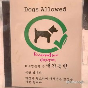  at Sushi Chungjeon 초밥충전 in Jeju