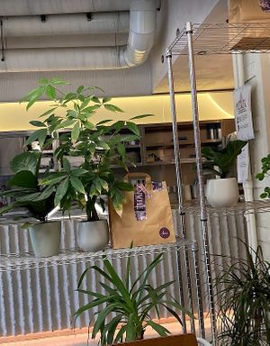  at Chia Restaurante in Madrid