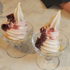  at Rainbow Bird Rendezvous in Tokyo