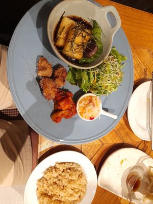  at Rainbow Bird Rendezvous in Tokyo