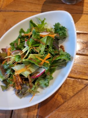 little salad as a starter at Rainbow Bird Rendezvous in Tokyo