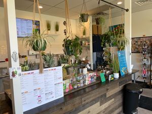 Counter  at 4 Suns Fresh Juice in Evanston