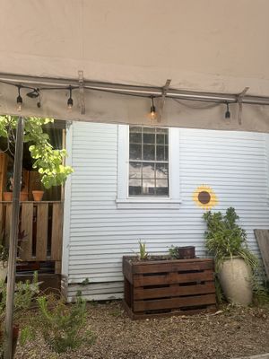   at Tree House Cafe in West Sacramento