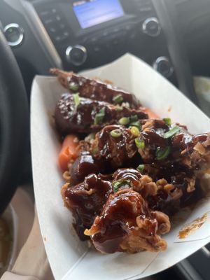 Wangz  at Vegan Gator Food Truck in Gainesville