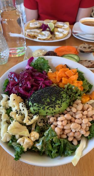 Carrot Hummus Salad  at Living Kitchen - South End in Charlotte