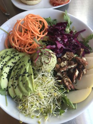 Arugula Harvest Salad at Living Kitchen - South End in Charlotte