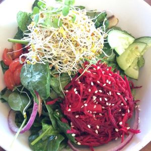 very fresh and delicious salad at Living Kitchen - South End in Charlotte