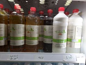 Kombucha and coconut kefir at Rdna Store in Cairo