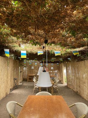 garden at El Invernadero in Fuerteventura