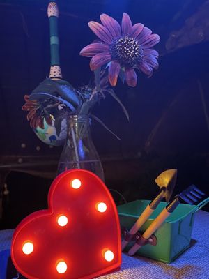 the owner came with this heart to us and made the lights romantic  at El Invernadero in Fuerteventura