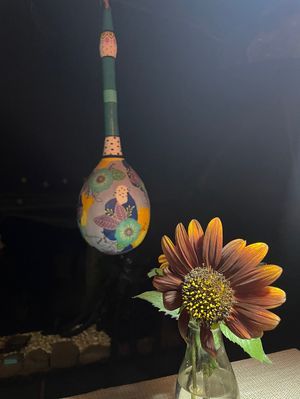 cutest things  at El Invernadero in Fuerteventura