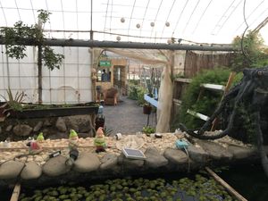 View through the garden to the bottom eating space  at El Invernadero in Fuerteventura