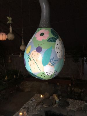 Gourd  at El Invernadero in Fuerteventura