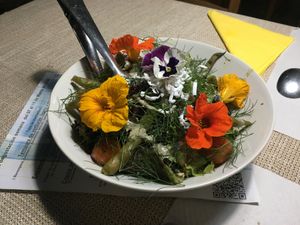 Salad with edible flowers!  at El Invernadero in Fuerteventura