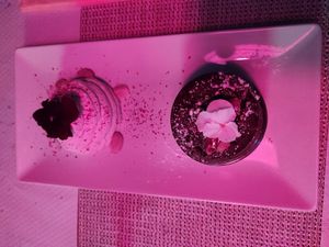 Mug cake and almond cream at El Invernadero in Fuerteventura