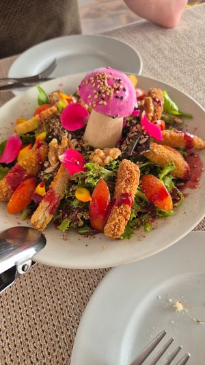  at El Invernadero in Fuerteventura