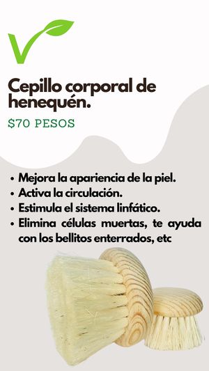 Body brush. at Vertical Pop Up Store in La Paz