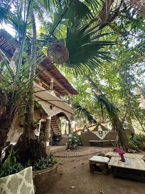 vibe  at Other-Wise in Arambol