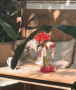 Cosy  at Other-Wise in Arambol