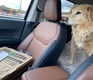 Carry out with Luna! 🐶  at LaRosa's Pizza - Hyde Park in Cincinnati