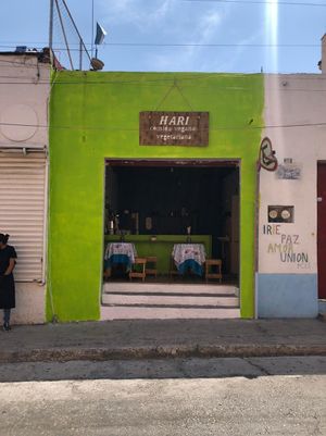 Hari, delicious vegan food at HARI in Cuernavaca