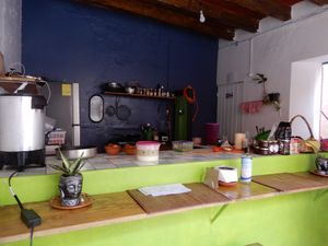 buena vibra at HARI in Cuernavaca