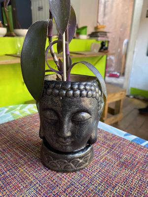 Good energy in the restaurant  at HARI in Cuernavaca