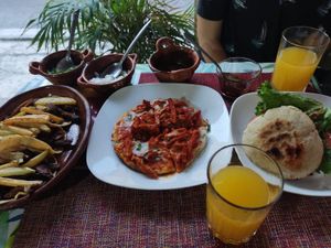  at HARI in Cuernavaca