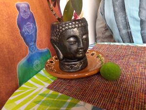 💜 at HARI in Cuernavaca