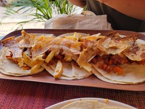 Tacos at HARI in Cuernavaca