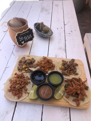 VEGAN TACOS  at Elixir Spot in Puerto Vallarta