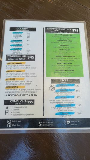 Menu at Elixir Spot in Puerto Vallarta
