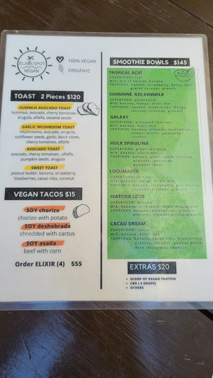 Menu at Elixir Spot in Puerto Vallarta
