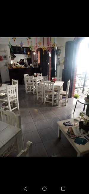 Very chill:)  #Veganuary at Elixir Spot in Puerto Vallarta