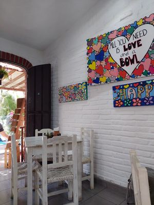  at Elixir Spot in Puerto Vallarta